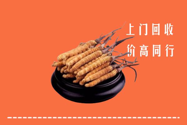附近收购：隆子县冬虫夏草回收多少钱每克